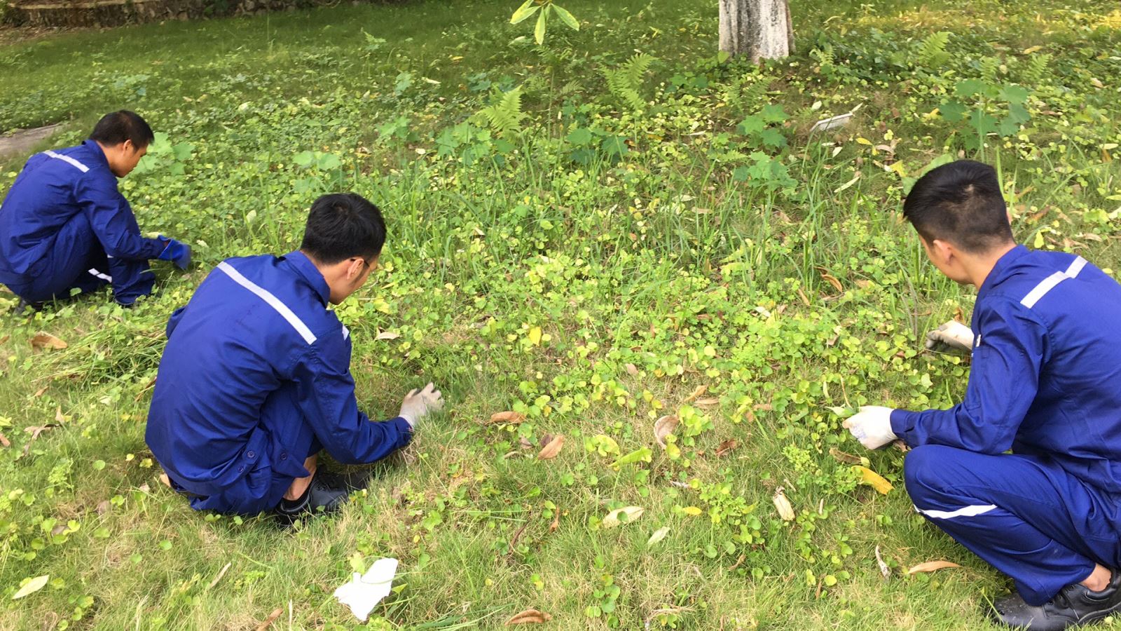 瑞泰風(fēng)工廠降溫設(shè)備案例圖